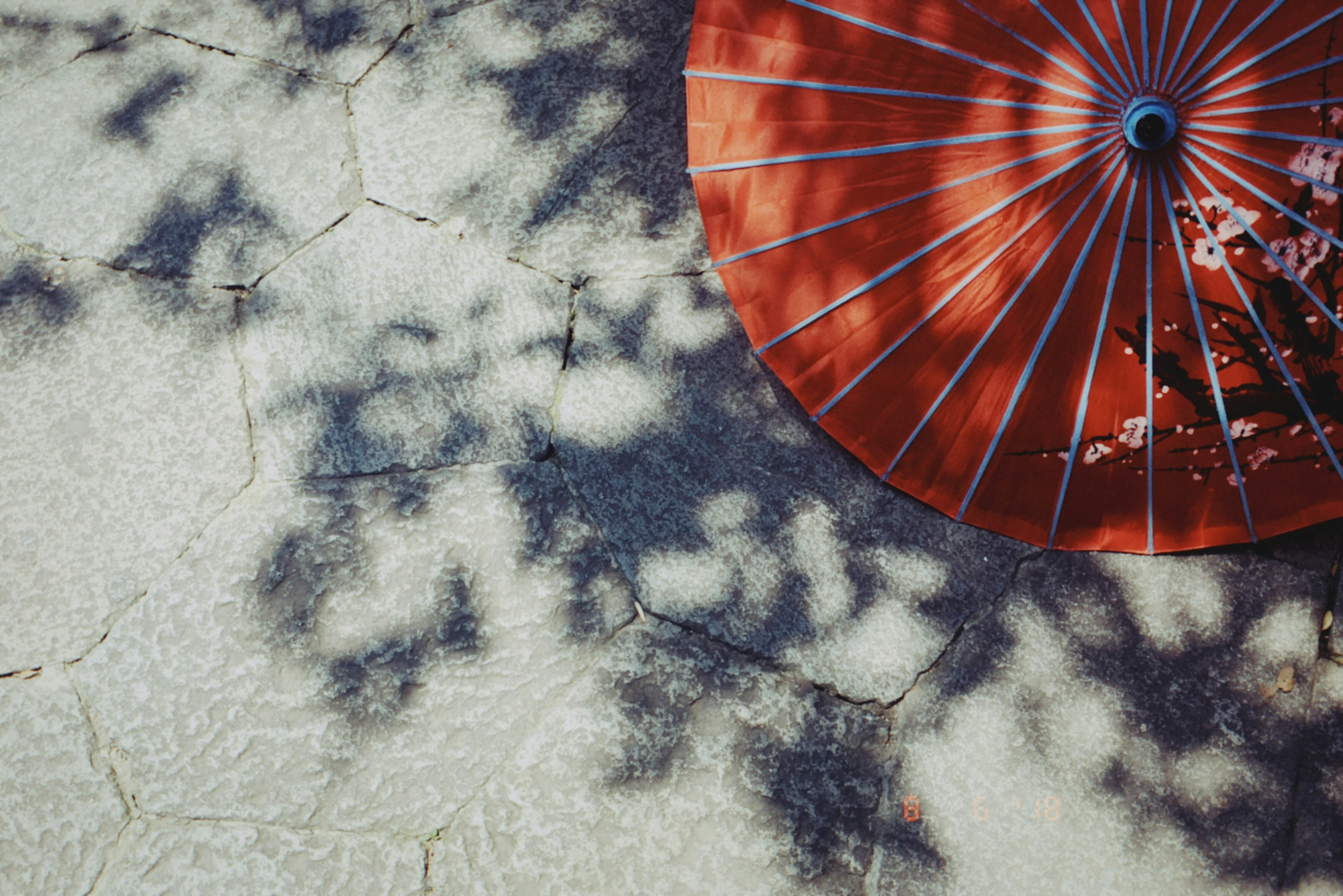 Oil-Paper Umbrella: Where Poetry Blooms Under Bamboo and Silk